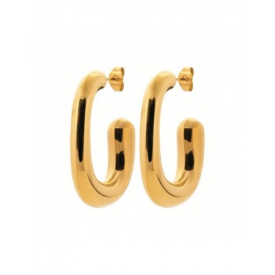 Boucles d'oreilles Coque de Nacre Acier doré 3605009
