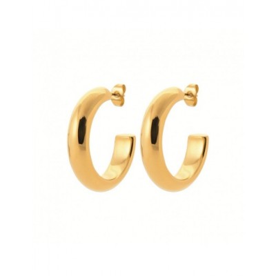 Boucles d'oreilles Coque de Nacre Acier doré 3604209