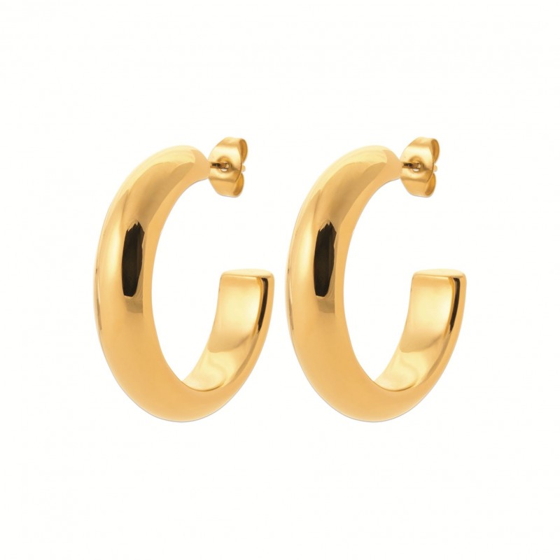 Boucles d'oreilles Coque de Nacre Acier doré 3604209