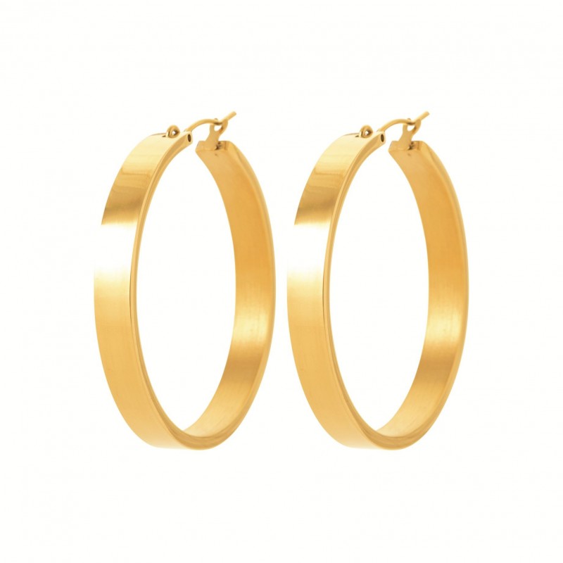 Boucles d'oreilles Coque de Nacre Acier doré 3604109