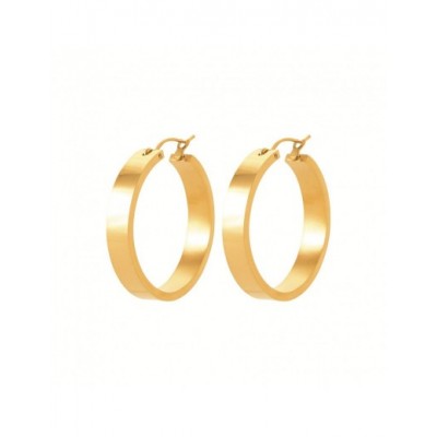 Boucles d'oreilles Coque de Nacre Acier doré 3604009