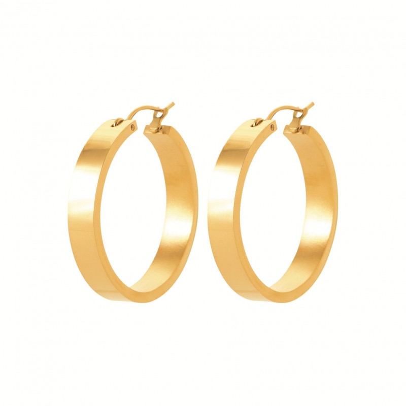 Boucles d'oreilles Coque de Nacre Acier doré 3604009
