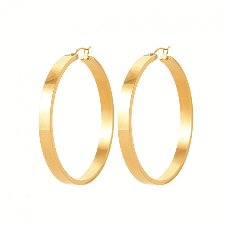 Boucles d'oreilles Coque de Nacre Acier doré 3603909
