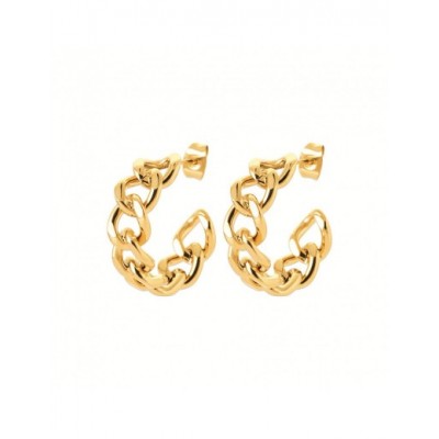 Boucles d'oreilles Coque de Nacre Acier doré 3603509