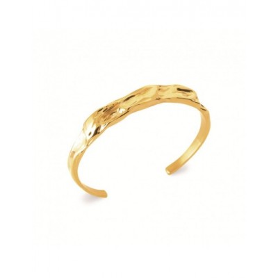 Bracelet Coque de Nacre Acier doré 31220862