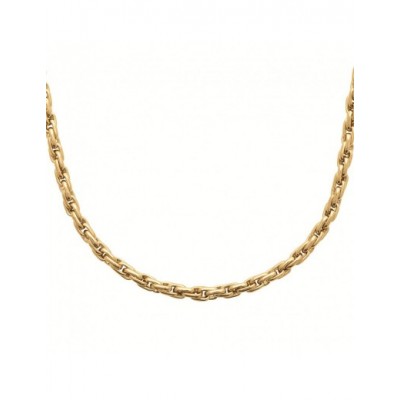 Collier Coque de Nacre Acier doré 31220145