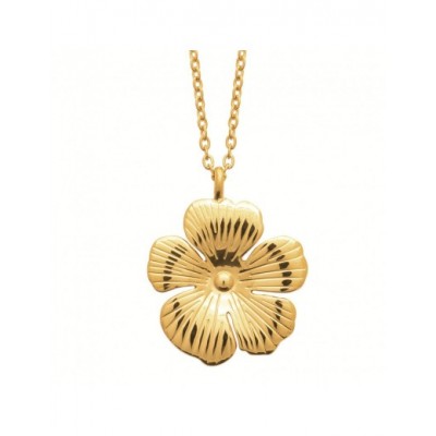 Collier Coque de Nacre Acier PVD doré 31219645