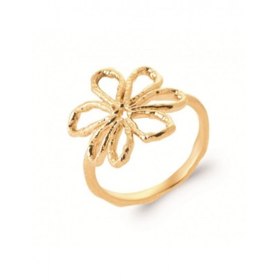 Bague Coque de Nacre Plaqué Or 750 2992700
