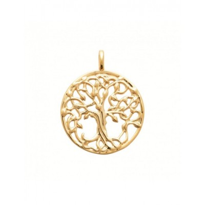 Pendentif Coque de Nacre Plaqué Or 750 2776500