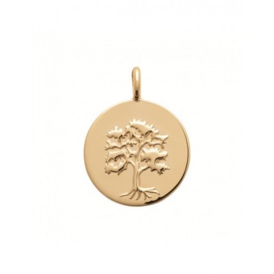 Pendentif Coque de Nacre Plaqué Or 750 2774600