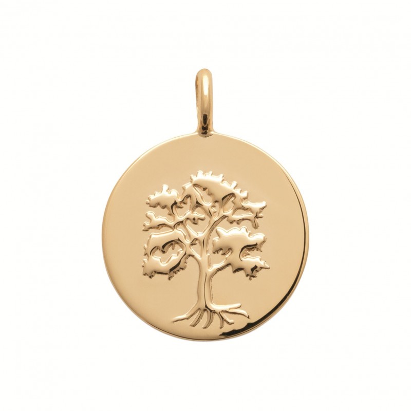 Pendentif Coque de Nacre Plaqué Or 750 2774600