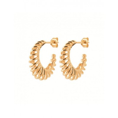 Boucles d'oreilles Coque de Nacre Plaqué Or 750 2673100