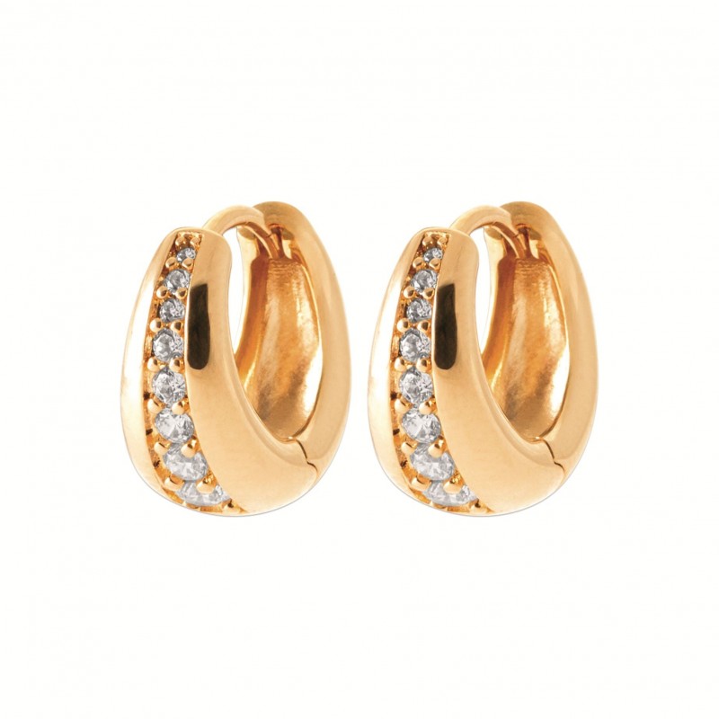 Boucles d'oreilles Coque de Nacre Plaqué Or 750 et Oxydes de zirconium 2673010