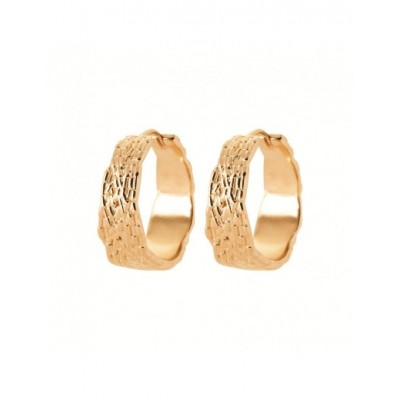 Boucles d'oreilles Coque de Nacre Plaqué Or 750 2670300