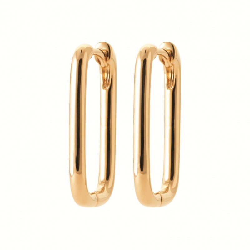 Boucles d'oreilles Coque de Nacre Plaqué Or 750 2665900