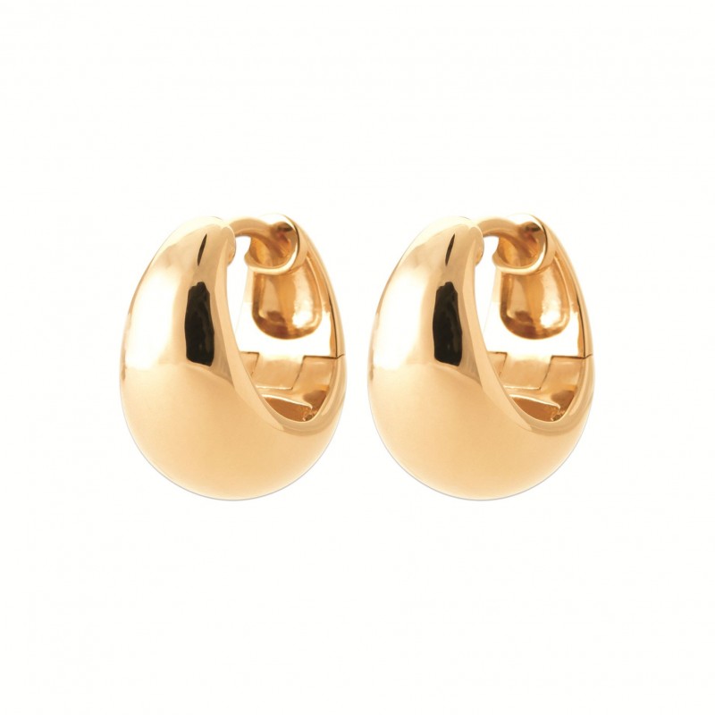 Boucles d'oreilles Coque de Nacre Plaqué Or 750 2665800