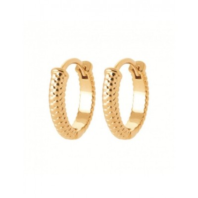 Boucles d'oreilles Coque de Nacre Plaqué Or 750 2653400