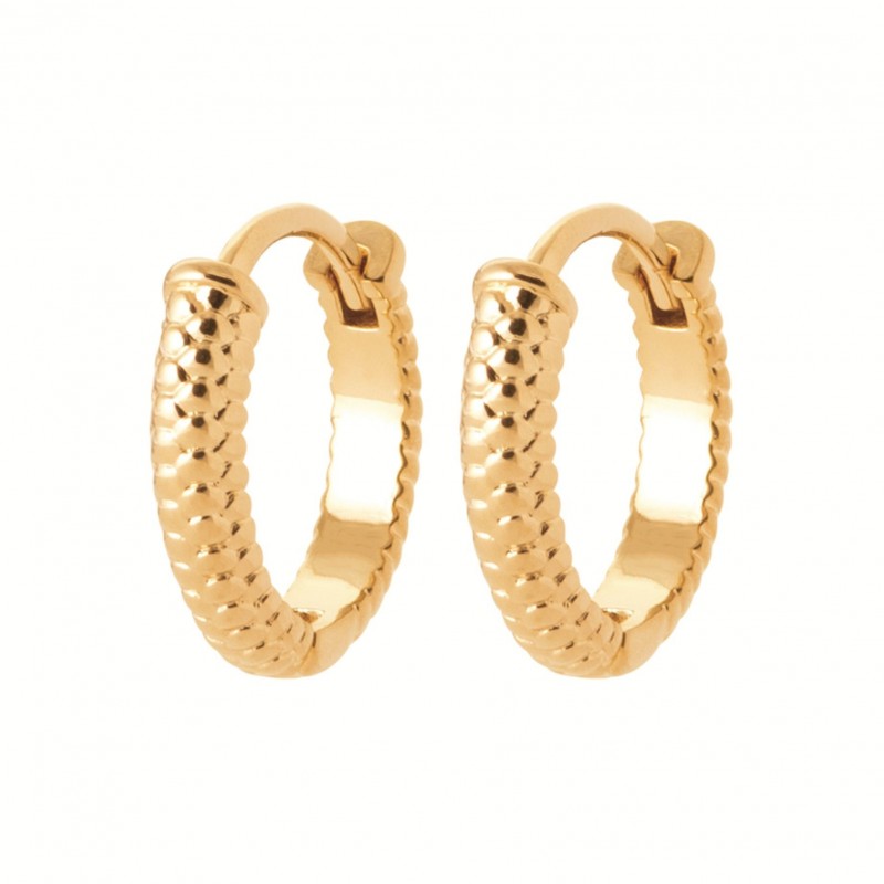Boucles d'oreilles Coque de Nacre Plaqué Or 750 2653400