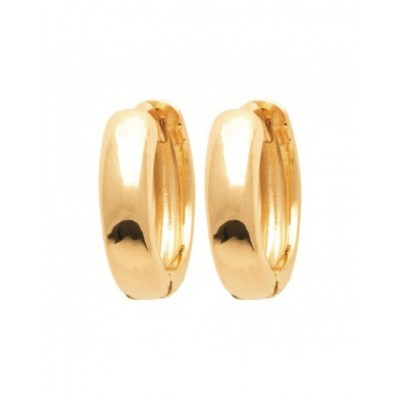 Boucles d'oreilles Coque de Nacre Plaqué Or 750 2648812