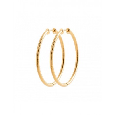 Boucles d'oreilles Coque de Nacre Plaqué Or 750 2634740