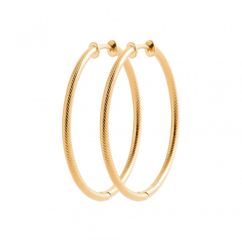 Boucles d'oreilles Coque de Nacre Plaqué Or 750 2634740