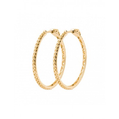 Boucles d'oreilles Coque de Nacre Plaqué Or 750 2628940