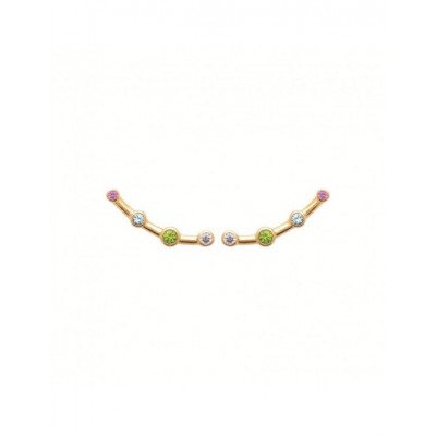 Boucles d'oreilles Coque de Nacre Plaqué Or 23065005