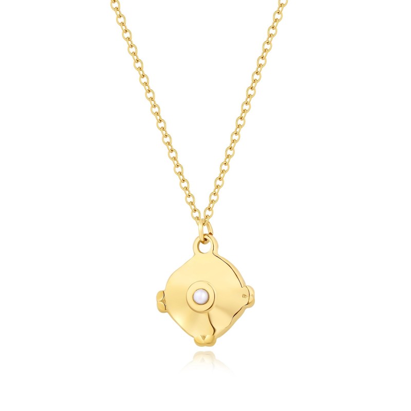 Collier PIXIES Acier et Perles PNS0023-1PRL