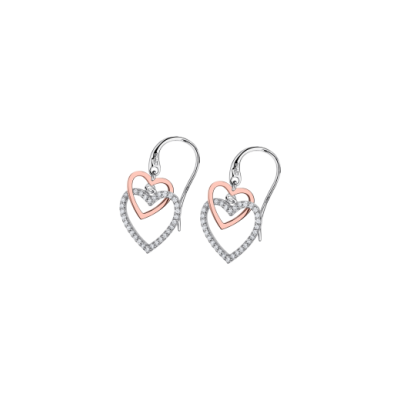 Boucles d'oreilles LOTUS LP1817-4/2